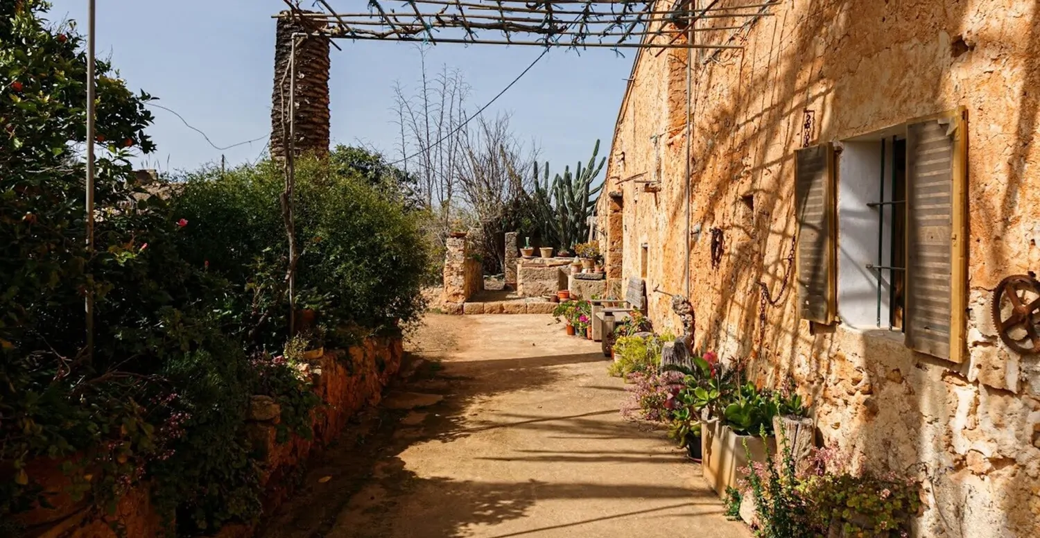 Terrasse mit Blick in den Westen
