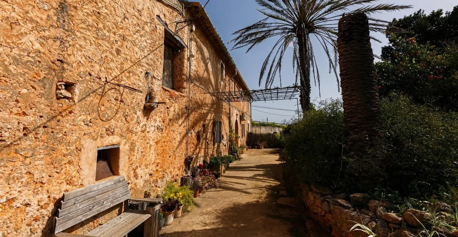 Terrasse mit Blick in den Osten