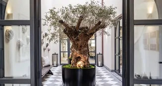 von_poll_real_estate_property_ES253745687_image_2