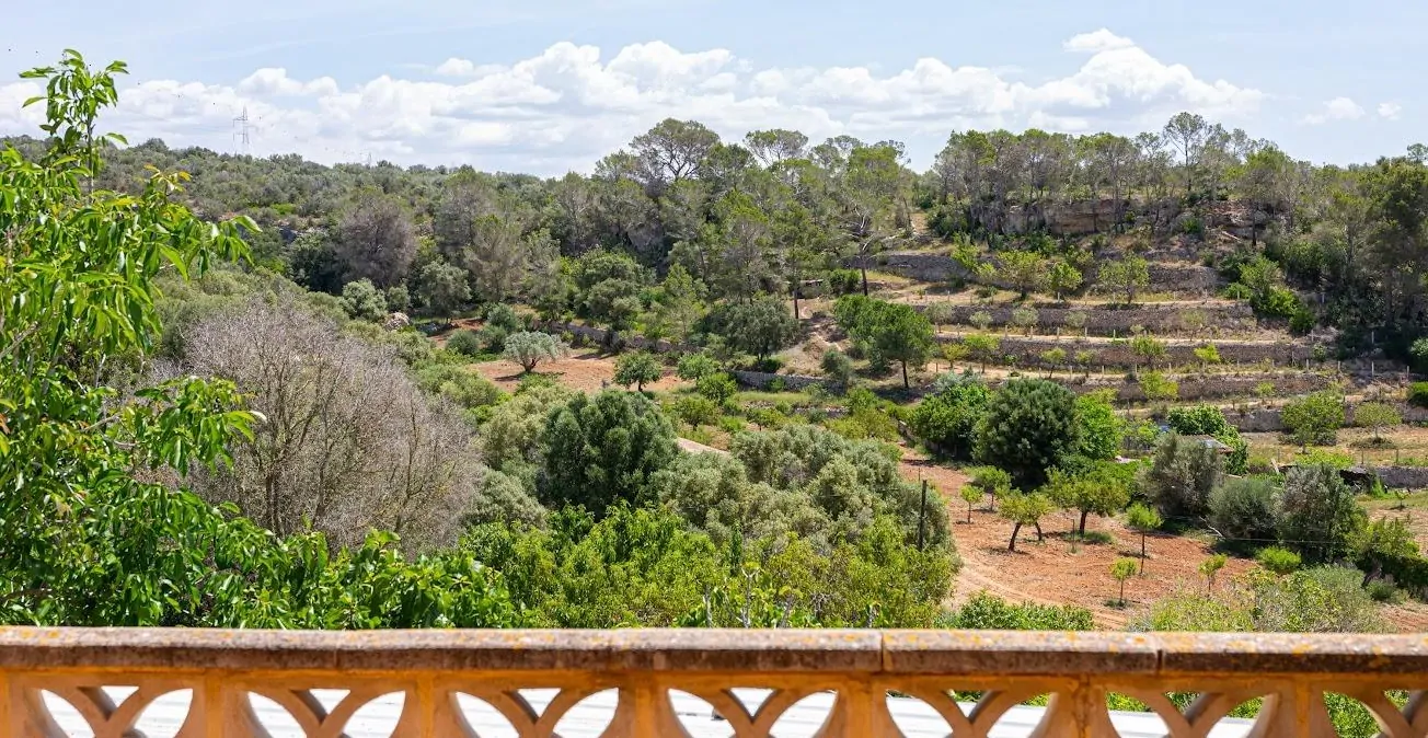 Mediterranean environment