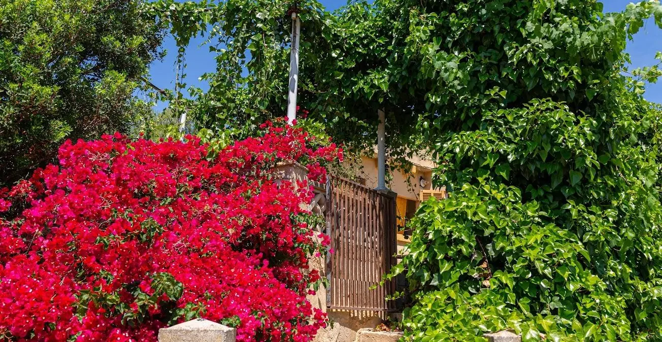 Entrance to the house