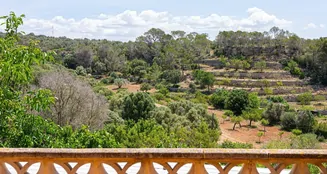 von_poll_real_estate_property_ES253745688_image_0