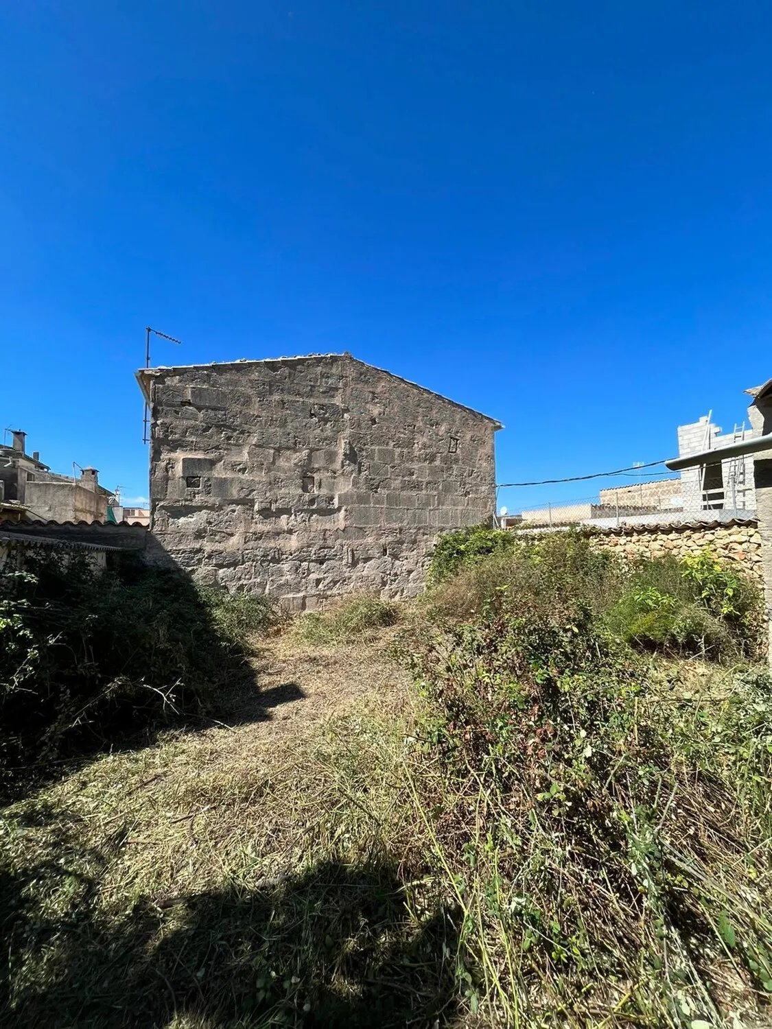 WhatsApp Image 2026-01-08 at 08.08.27 (7)