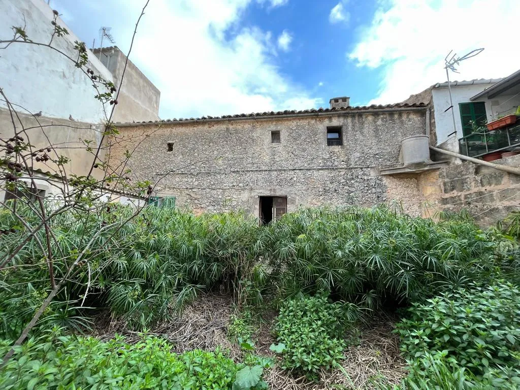 WhatsApp Image 2026-01-08 at 08.08.26 (2)