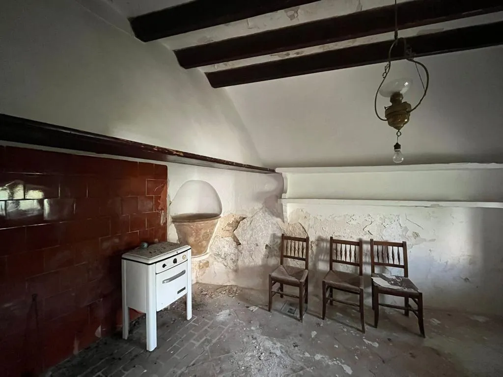 WhatsApp Image 2026-01-08 at 08.08.27 (1)