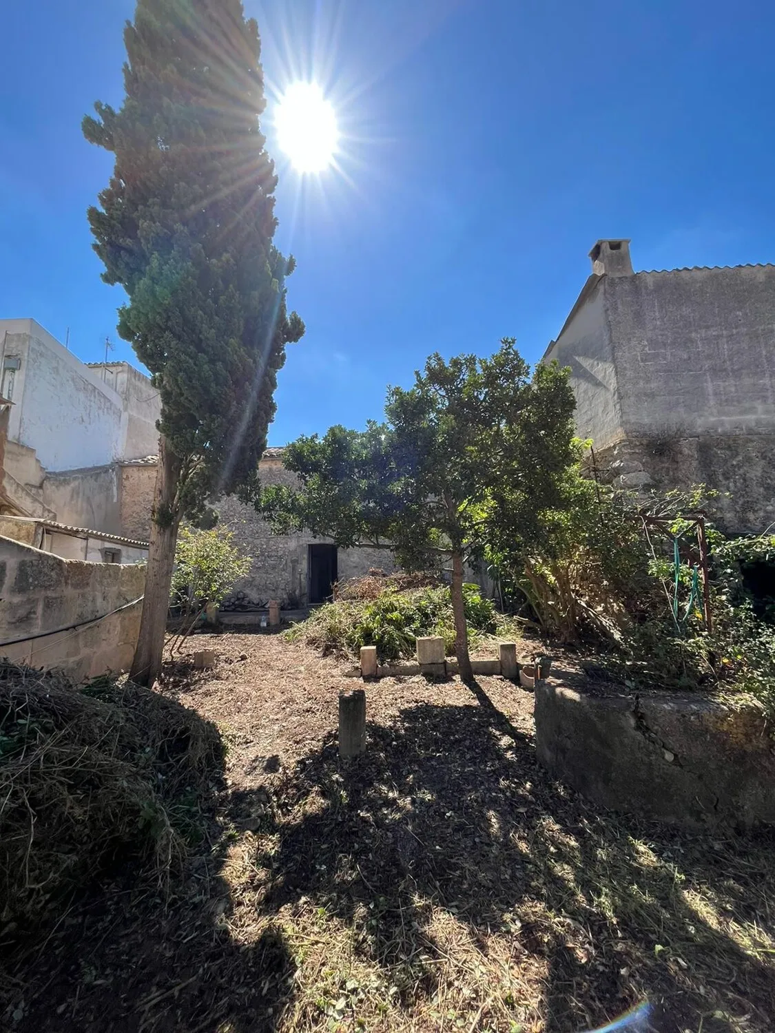 WhatsApp Image 2026-01-08 at 08.08.28