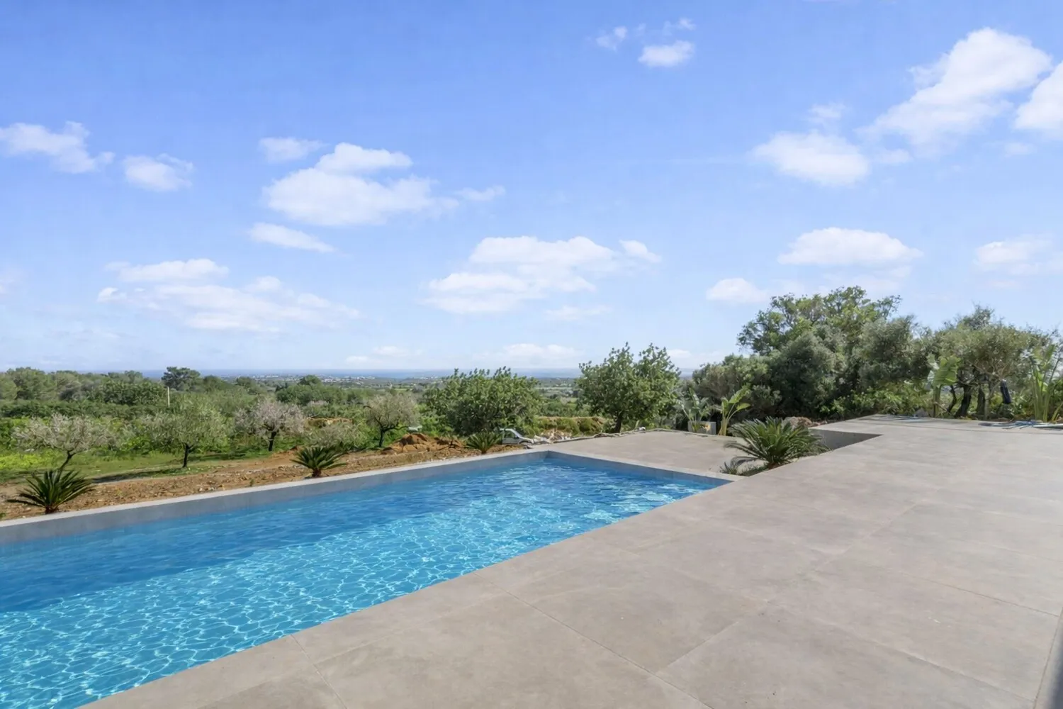 Piscina y terraza