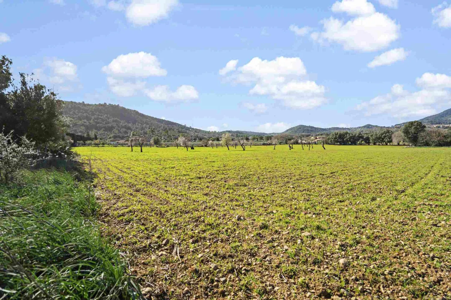 Naturaleza circundante