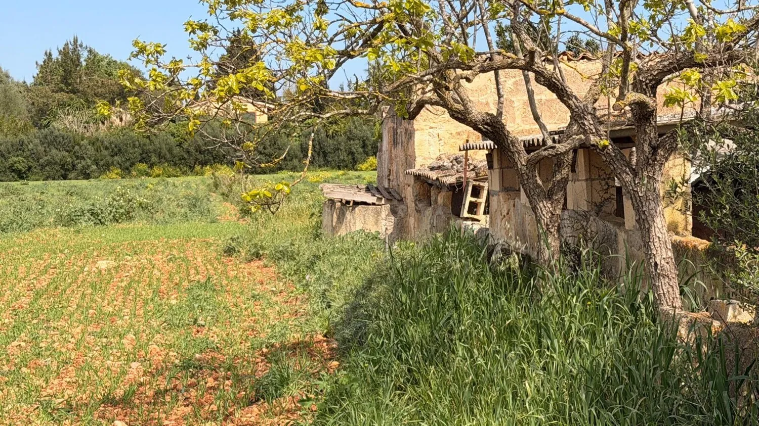 Finca existente