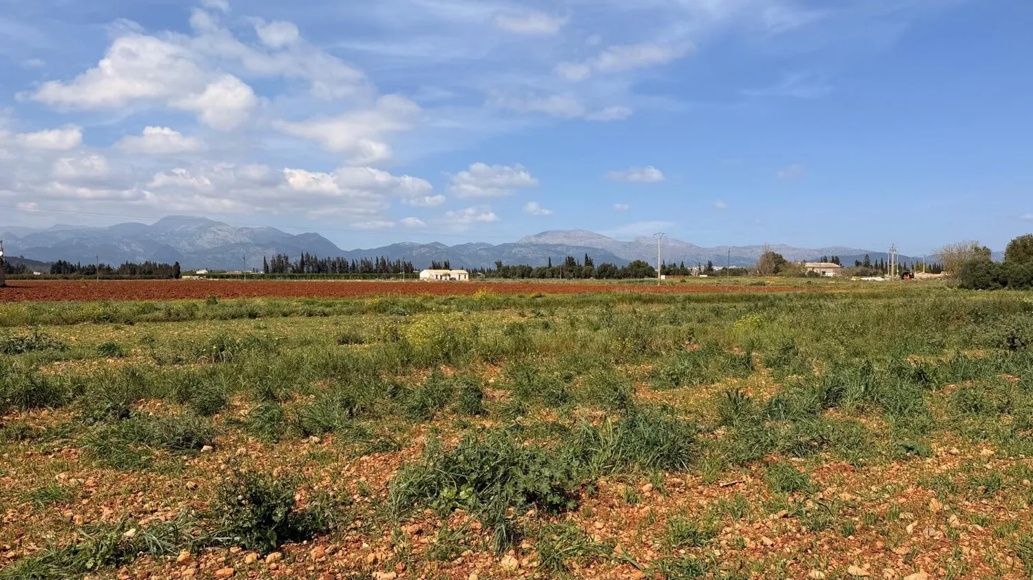 Vista de los alrededores