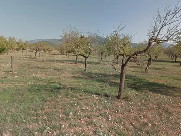 Mediterranean finca with pool in a quiet location near Bunyola – photo 29