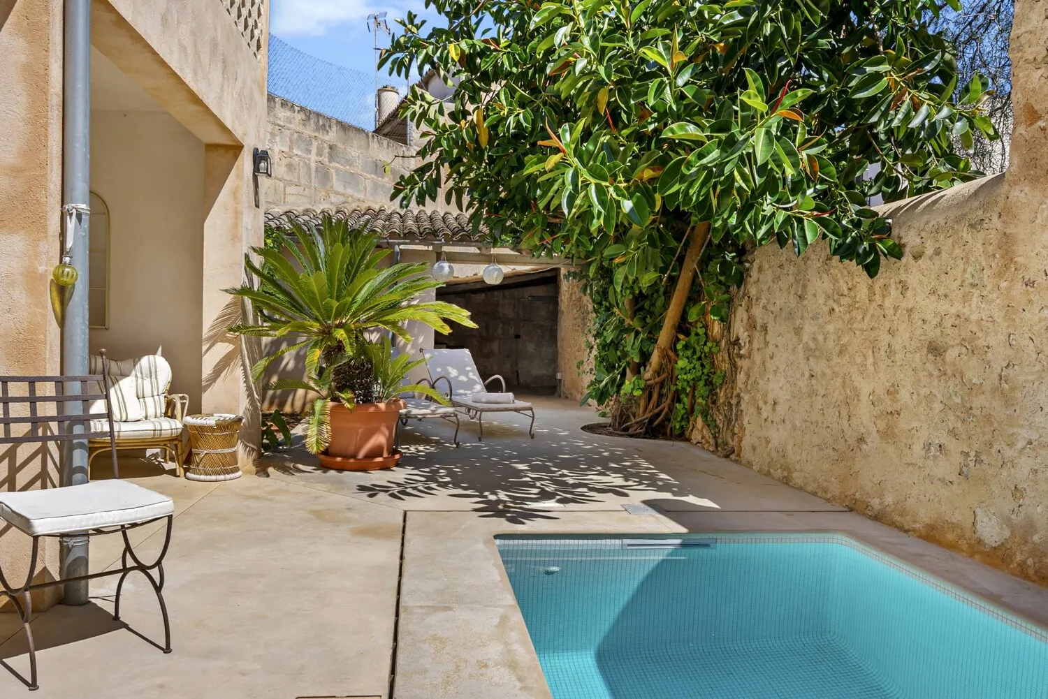 Pool y patio