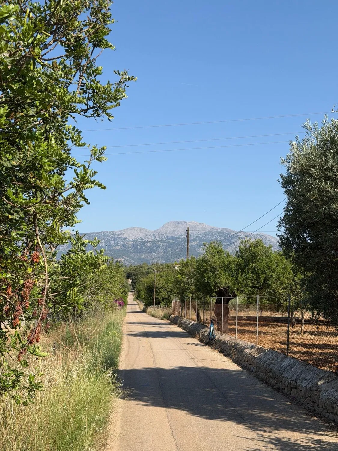 Blick zur Tramuntana