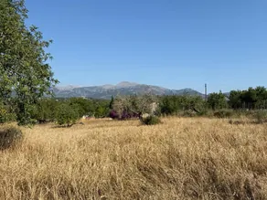 Building plot with license for a finca with pool in the area of Inca