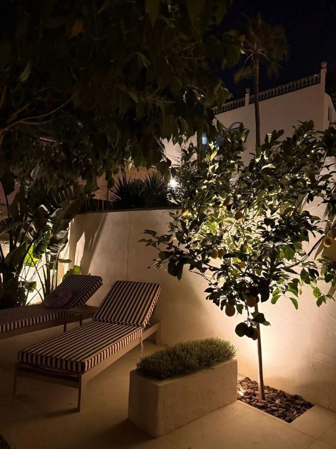 Patio en la noche