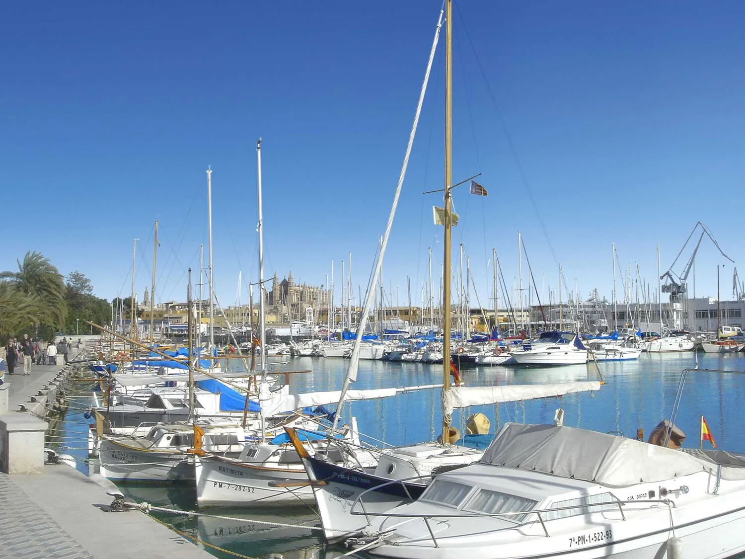 Palma