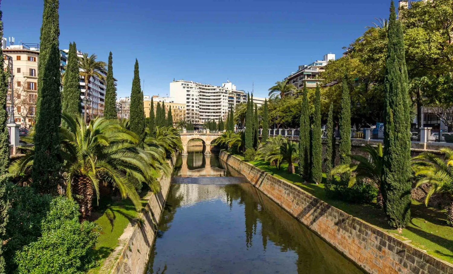 Palma