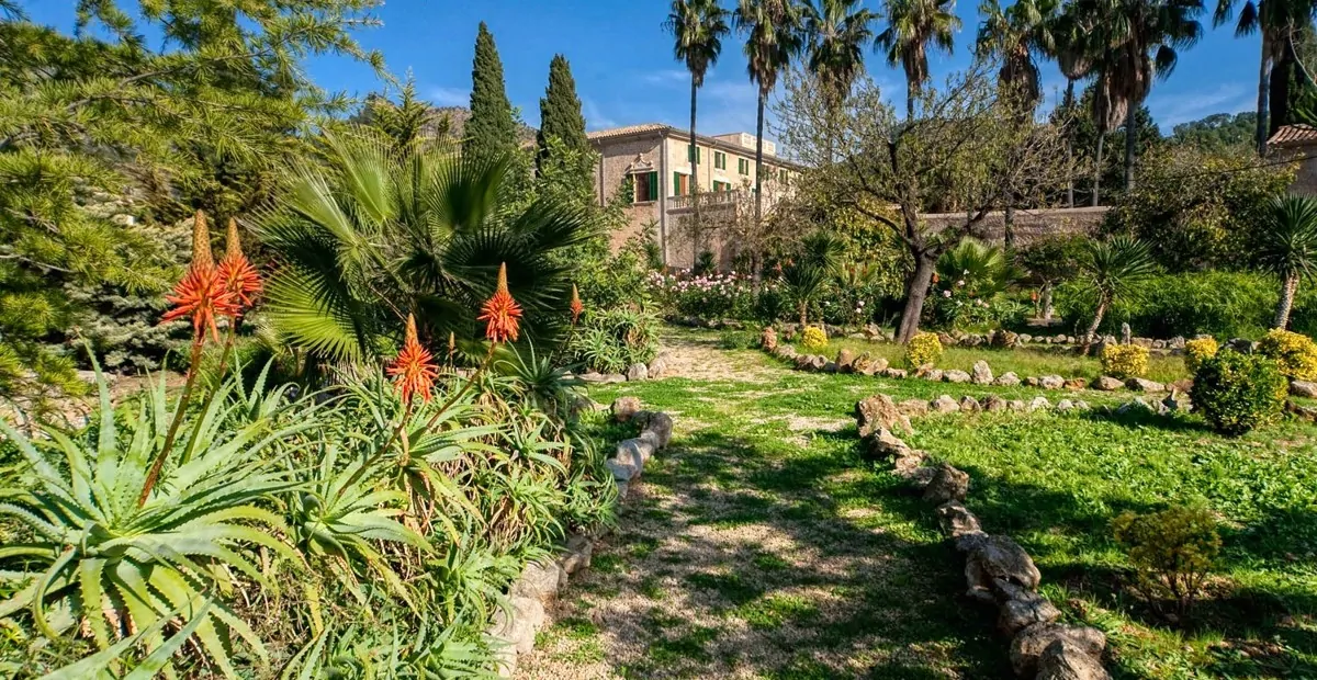 Foto_137989_original_2