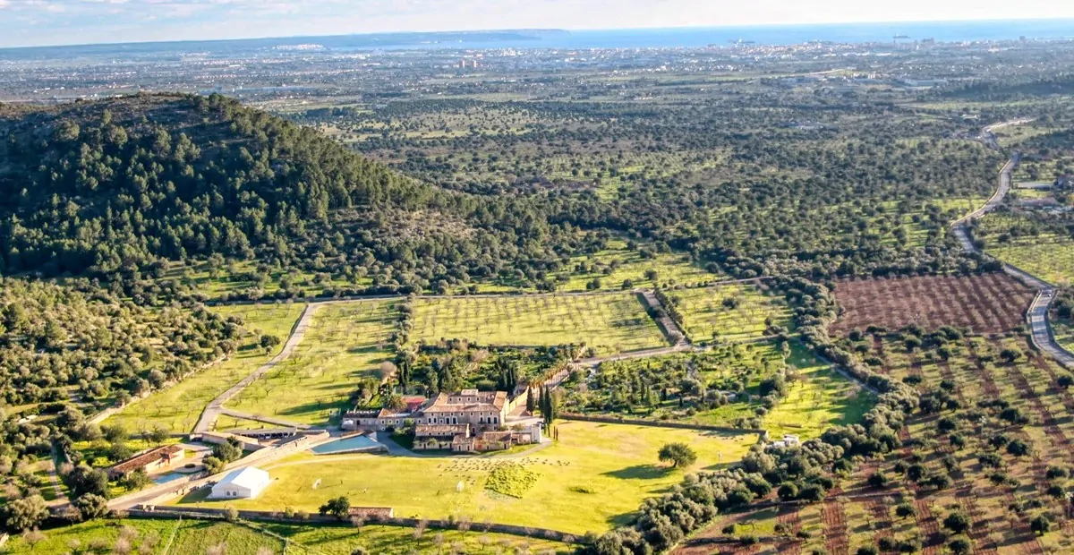 Titelbild_137975_original_6