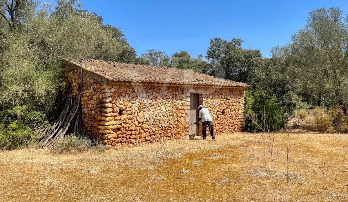 Große-rustikale-Finca-bei-Llubí