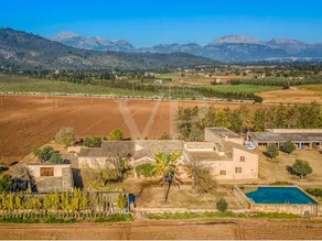 Gran-finca-rustica-cerca-de-Llubí