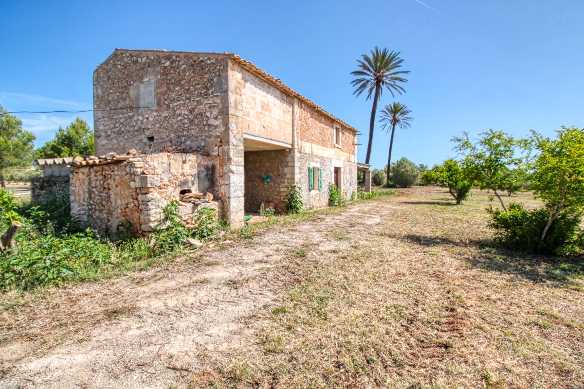 fantastische-finca-mit-rustikalem-haus-zu-renovieren-mit-verschiedenen-projekten-ausgezeichnetes-grundstück-obst-und-olivenbäume-in-binissalem