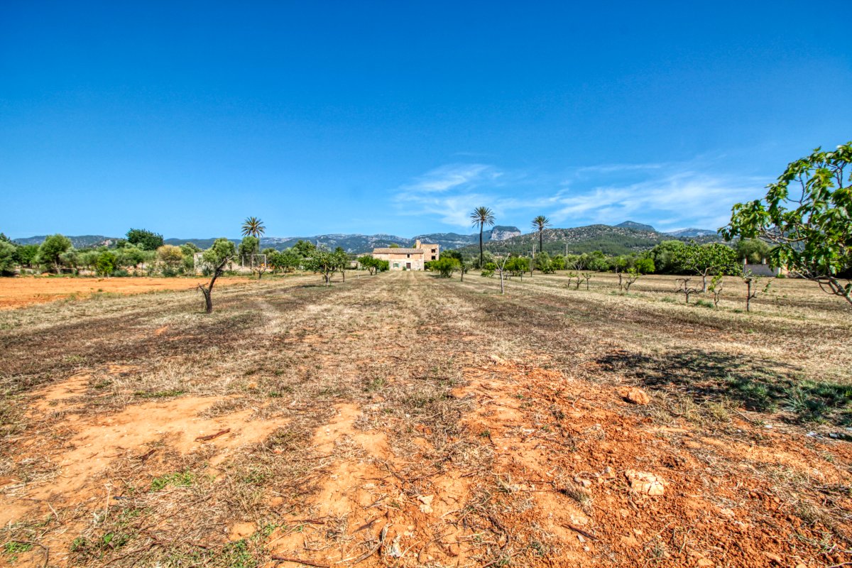 fantastische-finca-mit-rustikalem-haus-zu-renovieren-mit-verschiedenen-projekten-ausgezeichnetes-grundstück-obst-und-olivenbäume-in-binissalem