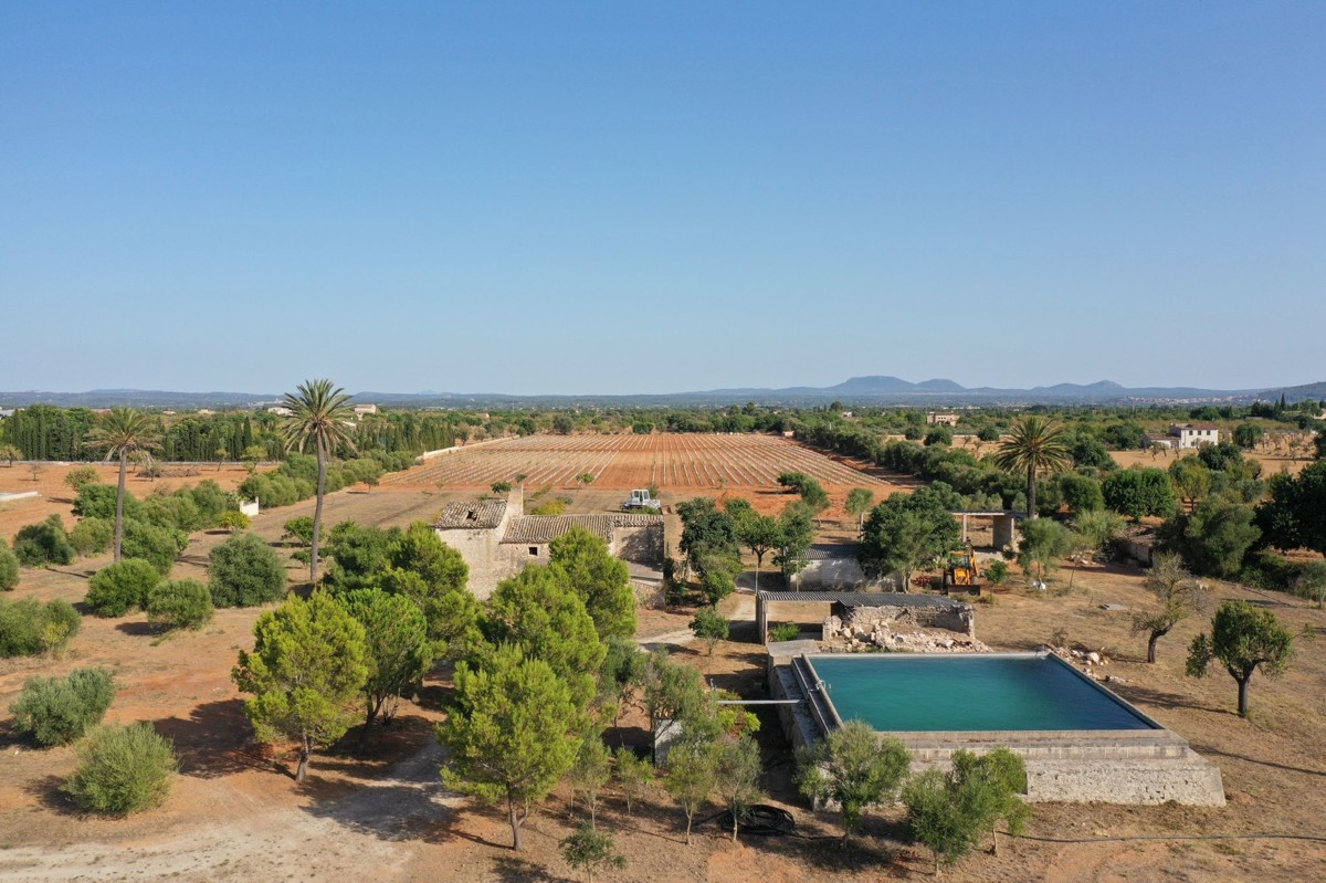 fantastische-finca-mit-rustikalem-haus-zu-renovieren-mit-verschiedenen-projekten-ausgezeichnetes-grundstück-obst-und-olivenbäume-in-binissalem