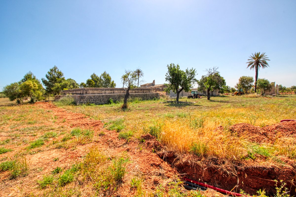 fantastische-finca-mit-rustikalem-haus-zu-renovieren-mit-verschiedenen-projekten-ausgezeichnetes-grundstück-obst-und-olivenbäume-in-binissalem