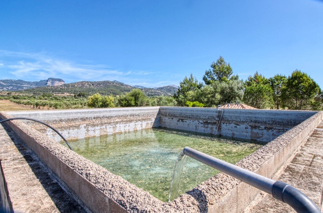 fantastische-finca-mit-rustikalem-haus-zu-renovieren-mit-verschiedenen-projekten-ausgezeichnetes-grundstück-obst-und-olivenbäume-in-binissalem