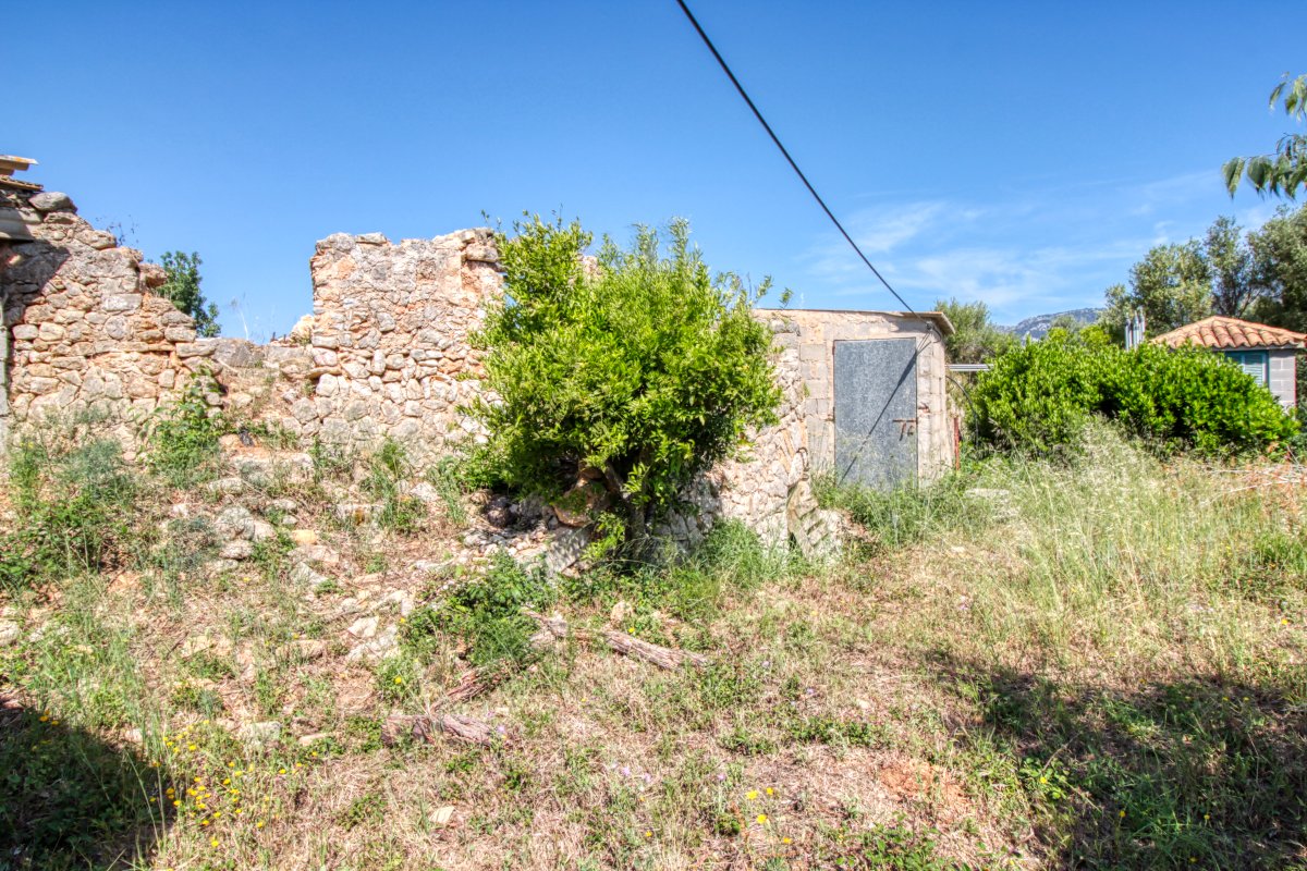 fantastische-finca-mit-rustikalem-haus-zu-renovieren-mit-verschiedenen-projekten-ausgezeichnetes-grundstück-obst-und-olivenbäume-in-binissalem