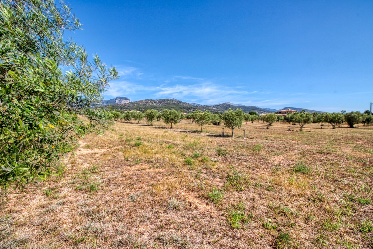 fantastische-finca-mit-rustikalem-haus-zu-renovieren-mit-verschiedenen-projekten-ausgezeichnetes-grundstück-obst-und-olivenbäume-in-binissalem