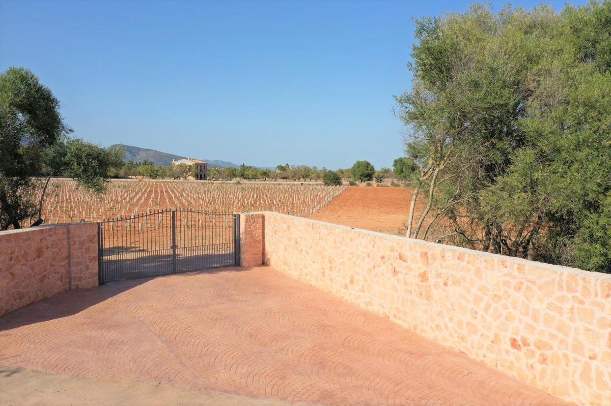 fantastische-finca-mit-rustikalem-haus-zu-renovieren-mit-verschiedenen-projekten-ausgezeichnetes-grundstück-obst-und-olivenbäume-in-binissalem