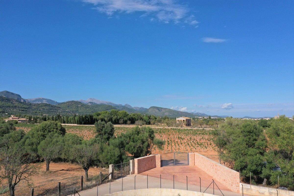 fantastic-finca-with-rustic-house-for-renovation-with-various-projects-excellent-plot-of-land-fruit-and-olive-trees-in-binissalem
