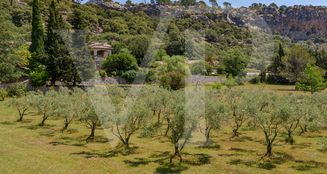 von_poll_real_estate_property_ES212899_image_25