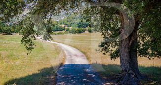 von_poll_real_estate_property_ES212899_image_21
