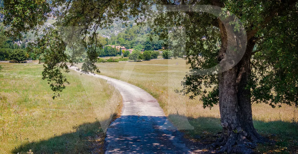 Historisches Anwesen aus dem 16. Jh. mit Pool in Escorca, Mallorca
