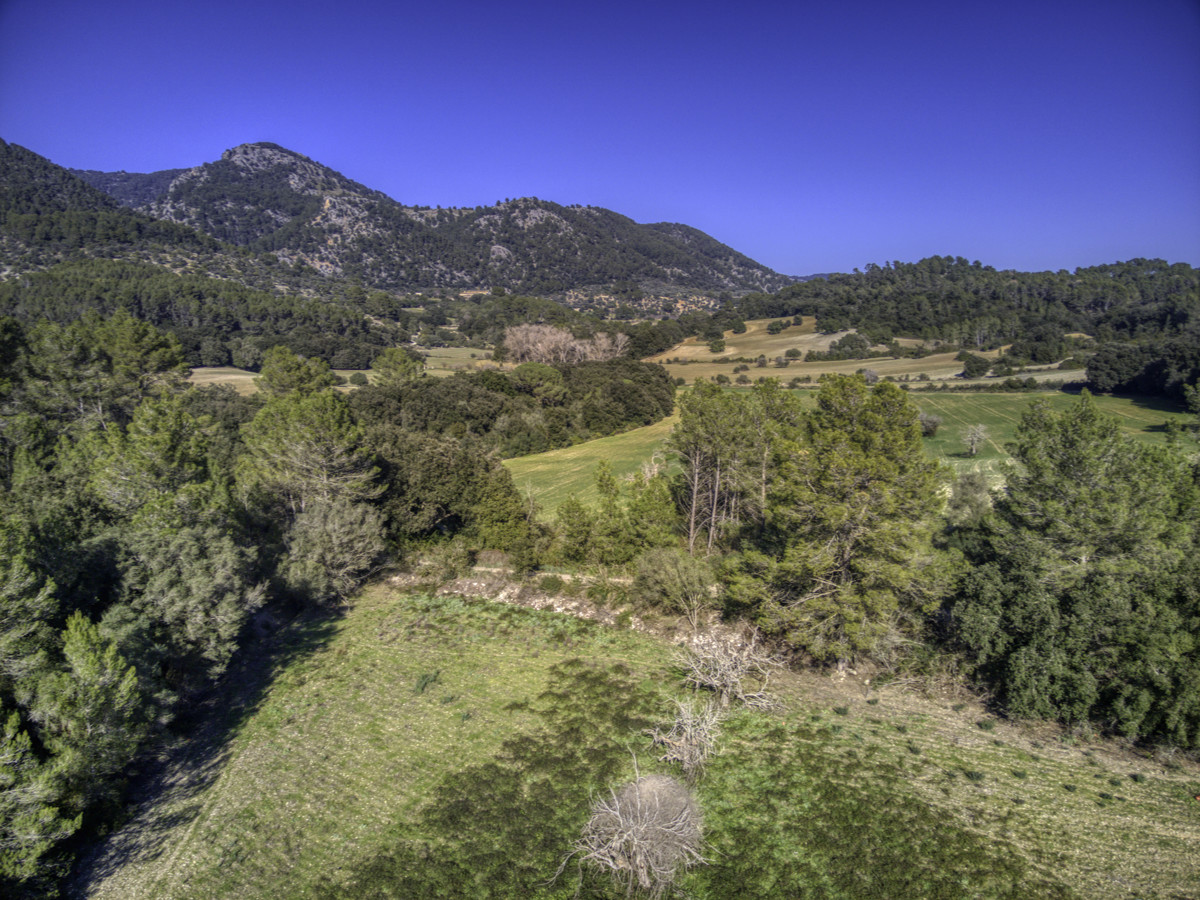 spektakuläres-baugrundstück-mit-zwei-brunnen-mit-der-möglichkeit-ein-haus-schwimmbad-und-weinberg-im-herzen-der-serra-de-tramuntana-mit-steineichen-kiefern-eigenbäumen-ullastres-in-der-gemeinde-selva-in-der-nähe-von-campanet-moscari-binibona