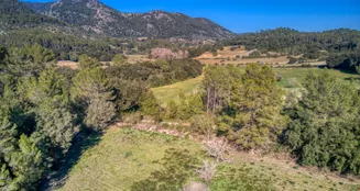 von_poll_real_estate_property_ES212978_image_2