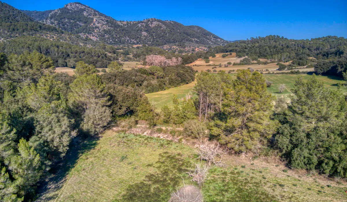 spektakuläres-baugrundstück-mit-zwei-brunnen-mit-der-möglichkeit-ein-haus-schwimmbad-und-weinberg-im-herzen-der-serra-de-tramuntana-mit-steineichen-kiefern-eigenbäumen-ullastres-in-der-gemeinde-selva-in-der-nähe-von-campanet-moscari-binibona