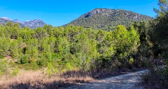 von_poll_real_estate_property_ES212978_image_12