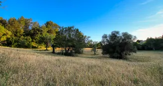 von_poll_real_estate_property_ES212978_image_6