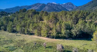 von_poll_real_estate_property_ES212978_image_0