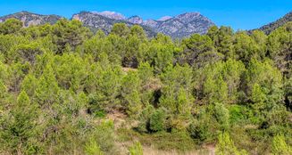 von_poll_real_estate_property_ES212978_image_10