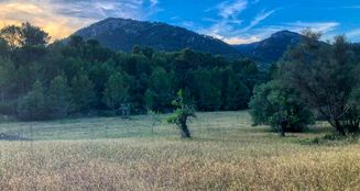 von_poll_real_estate_property_ES212978_image_16