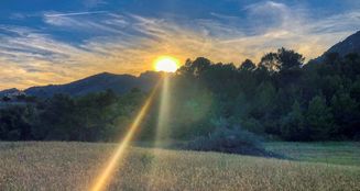 von_poll_real_estate_property_ES212978_image_13