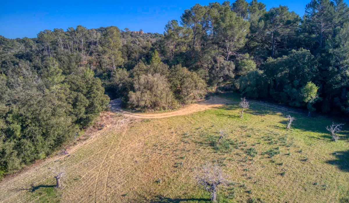 spektakuläres-baugrundstück-mit-zwei-brunnen-mit-der-möglichkeit-ein-haus-schwimmbad-und-weinberg-im-herzen-der-serra-de-tramuntana-mit-steineichen-kiefern-eigenbäumen-ullastres-in-der-gemeinde-selva-in-der-nähe-von-campanet-moscari-binibona