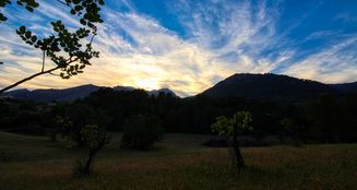 von_poll_real_estate_property_ES212978_image_15