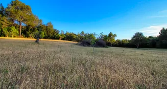 von_poll_real_estate_property_ES212978_image_5