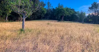 von_poll_real_estate_property_ES212978_image_8